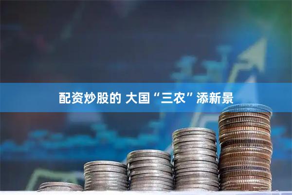 配资炒股的 大国“三农”添新景